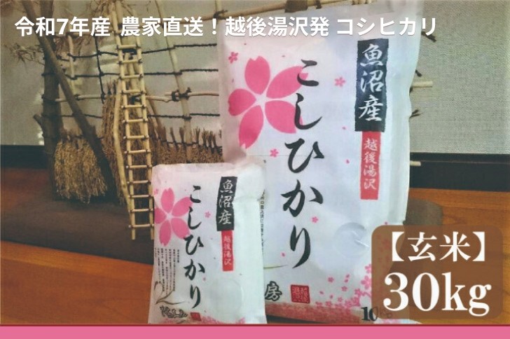 
            令和7年産 玄米30㎏ 農家直送！越後湯沢発  さくらファーム 南魚沼最上流域【湯沢産コシヒカリ】
          