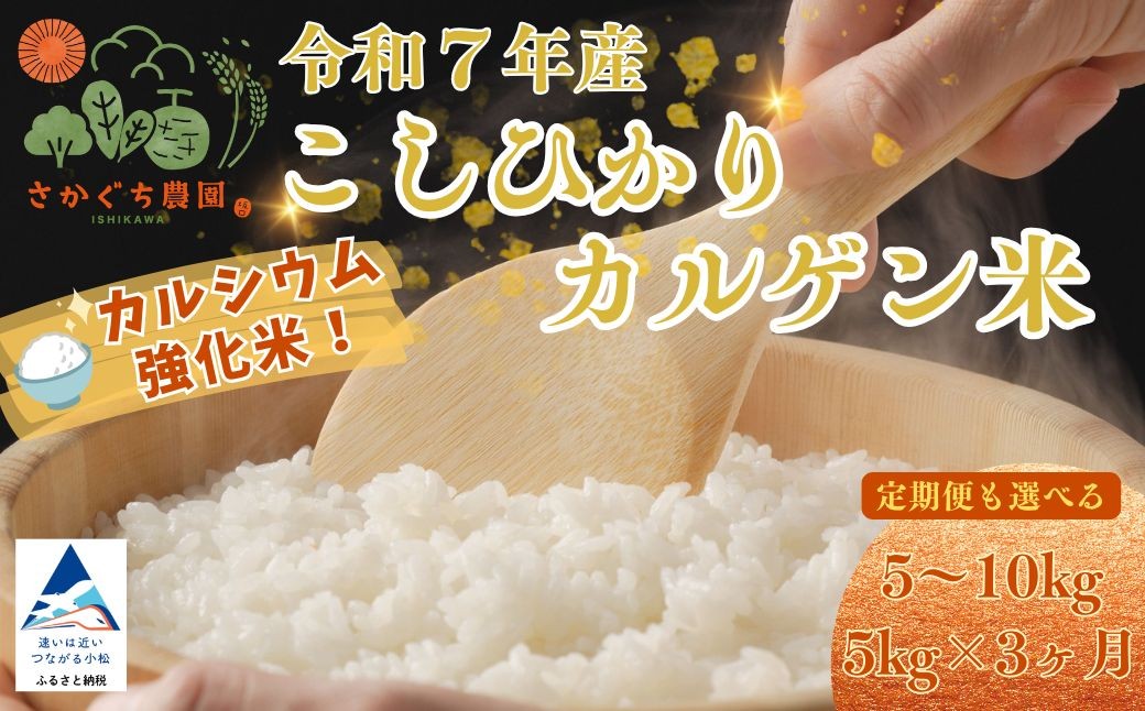 
                  令和7年産 こしひかりカルゲン米 選べる 【単品】5kg /【単品】10kg（5kg×2）/【定期便】5kg×3ヶ月（毎月） お米 白米 コシヒカリ | 石川県 小松市【坂口農園】 dt001m00
                