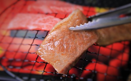 【神戸牛】焼肉用ロース:500g 黒田庄和牛 （30-7）【冷蔵】