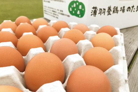 黒麹育ちの赤たまご30個｜栃木県 益子町 ふるさと納税 たまご 卵 タマゴ 赤たまご 人気 濃厚 食べチョク (BC007)