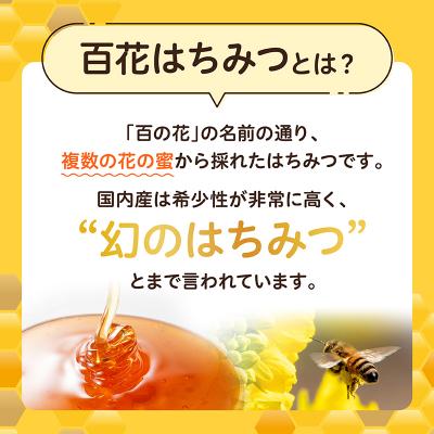 ふるさと納税 高千穂町 【3ヶ月定期便】日本みつばち 高千穂の純粋蜂蜜 300g×2本 セット |  | 02
