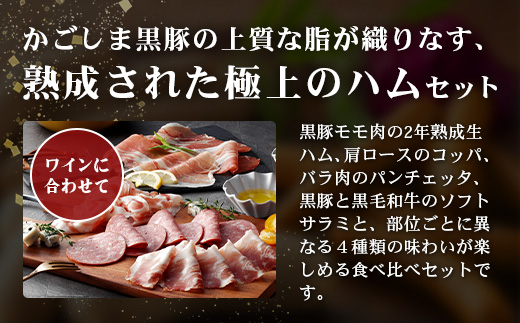 南州農場 黒豚熟成生ハム 4種食べ比べ セット 冷蔵 NS-9 | 国産 肉 お肉 豚肉 豚 にく ぶた かごしま黒豚 生ハム 最高峰 熟成ハム コッパ パンチェッタ コッホサラミ スパイス サラミ 
