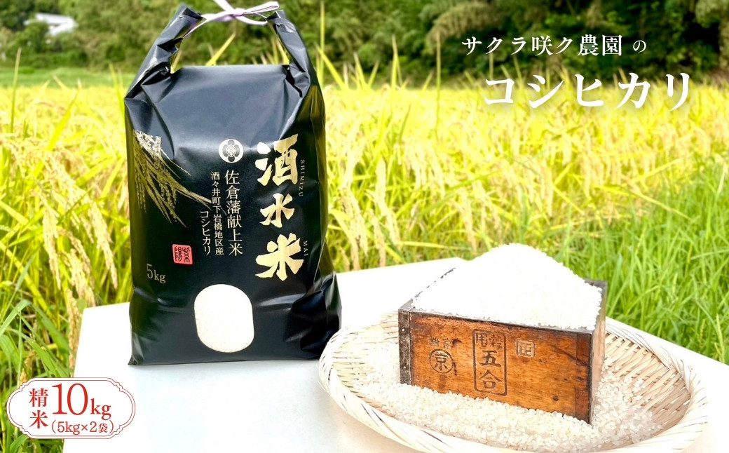 
            令和7年産 コシヒカリ 10kg 先行予約 ９月中旬以降出荷予定 酒々井町 産 「 酒水米 」 コシヒカリ 米10kg 5kg×2袋（合計10kg) でお届け 2025年産 こめ 千葉 お米 こしひかり 農家直送 産地直送 旬 生鮮食品 生鮮 新鮮 サクラ咲く農園
          