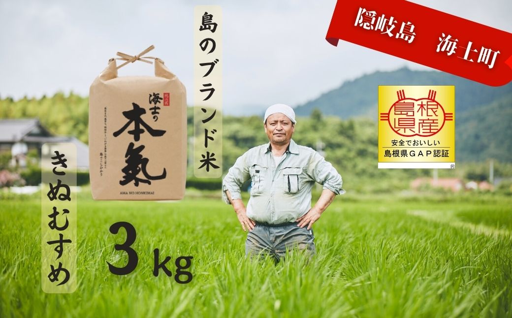 【ふるさと納税】【令和7年度産 本氣米3kg：きぬむすめ】甘くてもっちり島のブランド米 本氣米 お米 精米 白米 弁当 ごはん ご飯 おにぎり