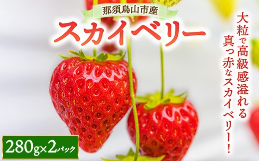 
            9-6 那須烏山市産 スカイベリー280g×2P ｜ いちご イチゴ 苺 先行予約 果物 くだもの フルーツ スカイベリー 高級 新鮮 贈答 ギフト 栃木県 ※北海道・沖縄・離島への配送不可 ※2026年1月下旬～5月下旬頃に順次発送予定
          