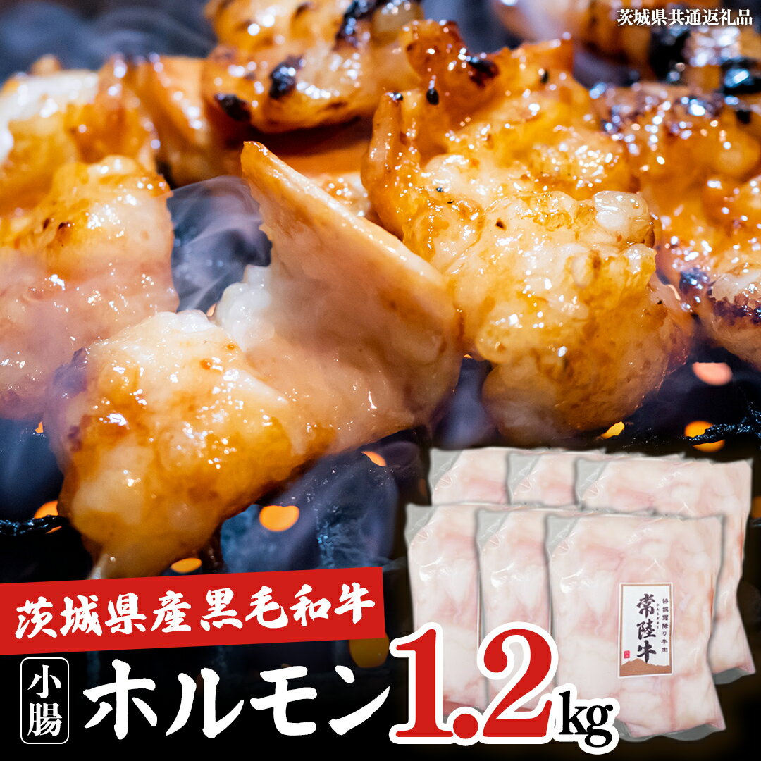 【ふるさと納税】【茨城県産】 黒毛和牛 もつ鍋 焼肉用 小腸 1.2kg（200g×6パック） (茨城県共通返礼品) 国産 牛肉 肉 お肉 ホルモン もつ 焼肉