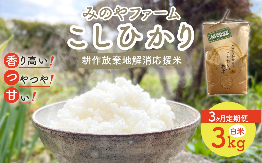
                  【3ヶ月定期便】令和８年産 新米 こしひかり　3ｋｇ（白米） みのやファームの耕作放棄地解消応援米　 【 コシヒカリ こしひかり おいしいお米 自然栽培 贈り物 ギフト 千葉県 御宿町 人気 おすすめ ランキング 】 ONJF008
                