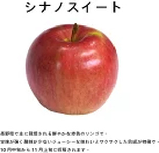 【先行受付】【贈答用】シナノスイート　3㎏　（9～12玉）