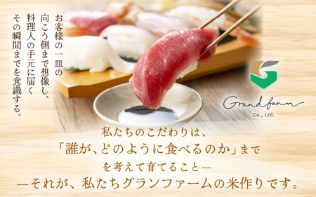 【先行予約】定期便 ≪6ヶ月連続お届け≫ 令和7年産 新米 いちほまれ 白米 10kg (5kg×2袋)【2025年11月上旬以降順次発送予定】精米 福井県 美浜町産  こめ コメ お米 おこめ 5キ