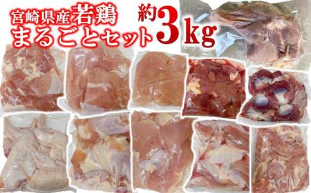 宮崎県産若鶏 11種 合計3.05kgセット 小分け もも肉 むね肉 筋なしささみ 砂肝等々 小分け 11パック＜1.4-34＞