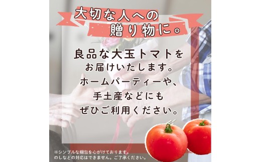 【2027年2月発送】大玉トマト3kg 良品 大 10玉 以上 先行予約 トマト とまと 野菜 旬 サラダ パスタ 季節限定 産地直送 大玉トマト ギフト プレゼント 贈答 贈り物 静岡県産 栄ちゃんファーム 静岡県 下田市