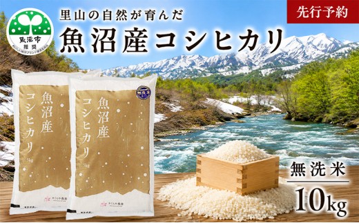 
                  【先行予約 令和8年産】さくらや農園 魚沼産コシヒカリ 無洗米10kg（5kg×2袋） お米 
                