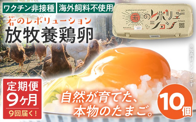
                  卵 定期便 9回 放牧養鶏卵 10個 「破損補償2個含」 9ヶ月間 若のレボリューション たまご 鶏卵 生卵 卵かけご飯 TKG 国産 ワクチン非接種 海外飼料不使用 発酵飼料 新鮮 お取り寄せ グルメ 贅沢 福岡 ※北海道・沖縄・離島は配送不可
                
