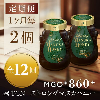 【ふるさと納税】【毎月定期便】ストロングマヌカハニー【MGO860+】500g×2個　全12回【4050135】