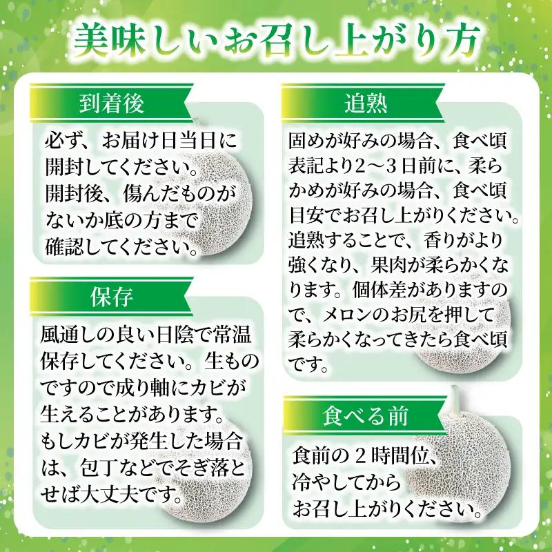 メロン 訳あり 2027年 先行予約  食べ比べ 青肉 赤肉 約 11kg タカミメロン