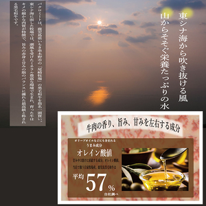 【令和6年お歳暮対応】鹿児島県産 黒毛和牛 100% ミンチ 700g(約350g×2P) A4等級以上！細引き 粗挽き 対応可！冷凍 小分け 国産 黒毛和牛 の 挽き肉 は ハンバーグ  にもオスス