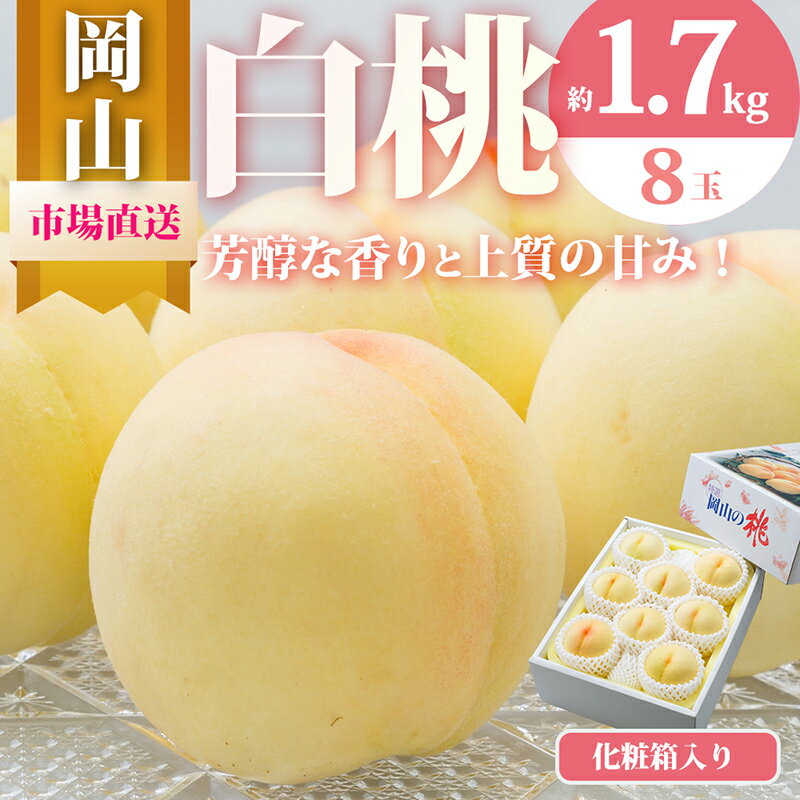 【ふるさと納税】桃 2026年 先行予約 岡山 白桃 8玉（合計1.7kg以上）化粧箱入り もも モモ 岡山県産 国産 フルーツ 果物 ギフト 　お届け：2026年7月上旬～2026年8月上旬