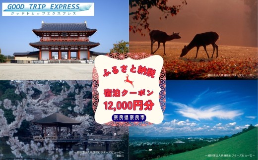 【宿泊専用】旅行 トラベル クーポン 宿泊利用券 宿泊 チケット【12,000円分】 旅行クーポン 奈良市に泊まる ふるさと納税  宿泊チケット トラベル チケット トラベルチケット 旅行券 人気 観光地 観光 ホテル 旅館 温泉 遊び 食べる 泊まる 家族旅行 一人旅 グループ旅行 トリップ ギフト プレゼント 贈り物 利用券 体験 体験券 国内旅行 日本空輸株式会社 奈良県 奈良市 なら