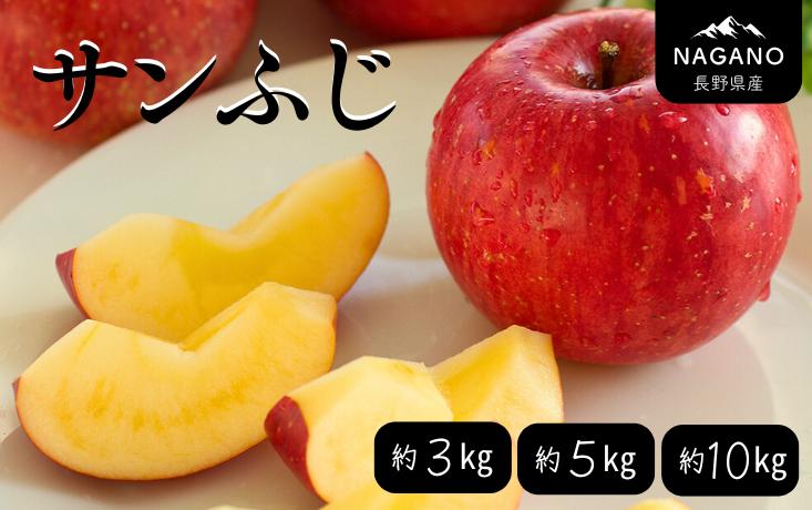 
            【先行予約】 りんご サンふじ（長野県産秀品）約3kg ～ 約10kg / 2026年11月下旬～12月中旬頃 配送予定 // 長野県 南信州 さんふじ サンフジ ふじりんご リンゴ 林檎 贈答 ふじ MS14 MS15 MS16
          