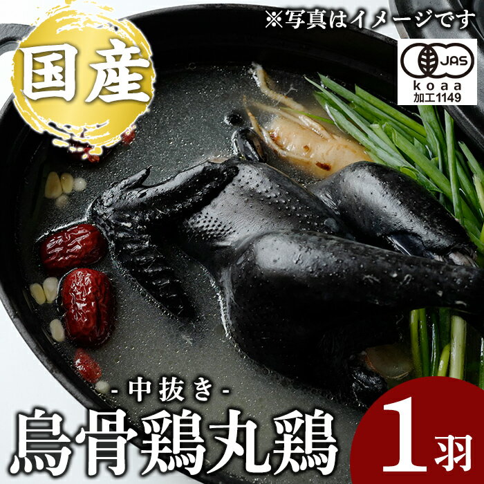 【ふるさと納税】国産！オーガニック烏骨鶏丸鶏(中抜き)1羽 霧島市 国産 九州産 鹿児島県産 烏骨鶏 うこっけい 鶏肉 鳥肉 鶏 とり 丸どり 無投薬 ワクチンフリー オーガニックチキン【お多福たまご】