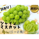 【ふるさと納税】【2025年先行予約】訳あり岡山県産シャインマスカット4kg【配送不可地域：離島】【1571849】