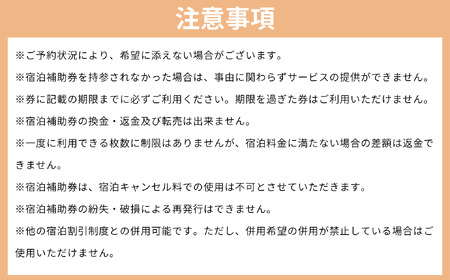 信州いいやま 宿泊補助券 3,000円分 信州飯山 宿泊補助券 T-1