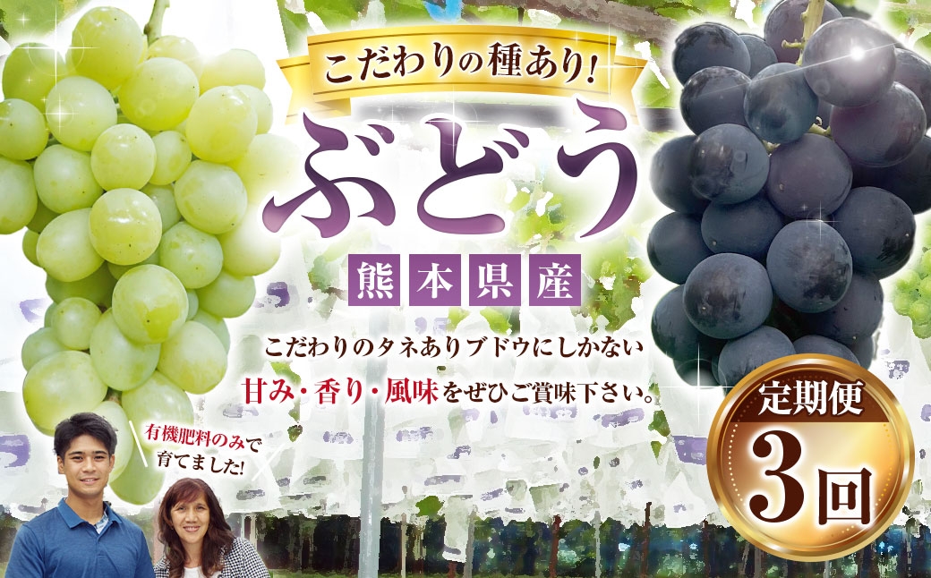 
                  【3ヶ月定期便】 ぶどう （各月約1.5kgずつお届け） 【2026年8月下旬～10月下旬まで順次発予定】 香り 果物 くだもの 果実 フルーツ 有機肥料 風味 甘み 葡萄 ブドウ 巨峰 イタリア 安芸クイーン 赤嶺 タネあり タネ 種 果汁 定期 定期便 定期配送
                