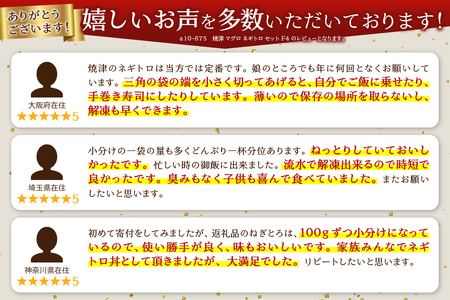 a10-875202406　【2024年6月発送】焼津 マグロ ネギトロ すきみ 詰合せ セットF4 ネギトロ丼 ネギトロ軍艦 ネギトロ巻き ネギトロ手巻き寿司 ネギトロ 