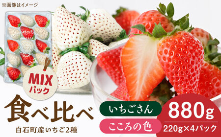 【R8年1月以降発送】こころの色×いちごさんミックス 紅白いちごセット 計880g / いちご [IBJ027]
