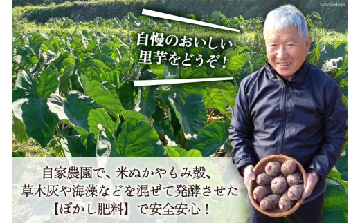 【期間限定発送】 里芋 赤芽 2kg [甲斐自然派農園 宮崎県 日向市 452060525] さといも ホクホク