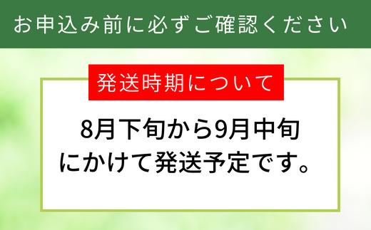 大人気のお礼の品！香美町の二十世紀梨！