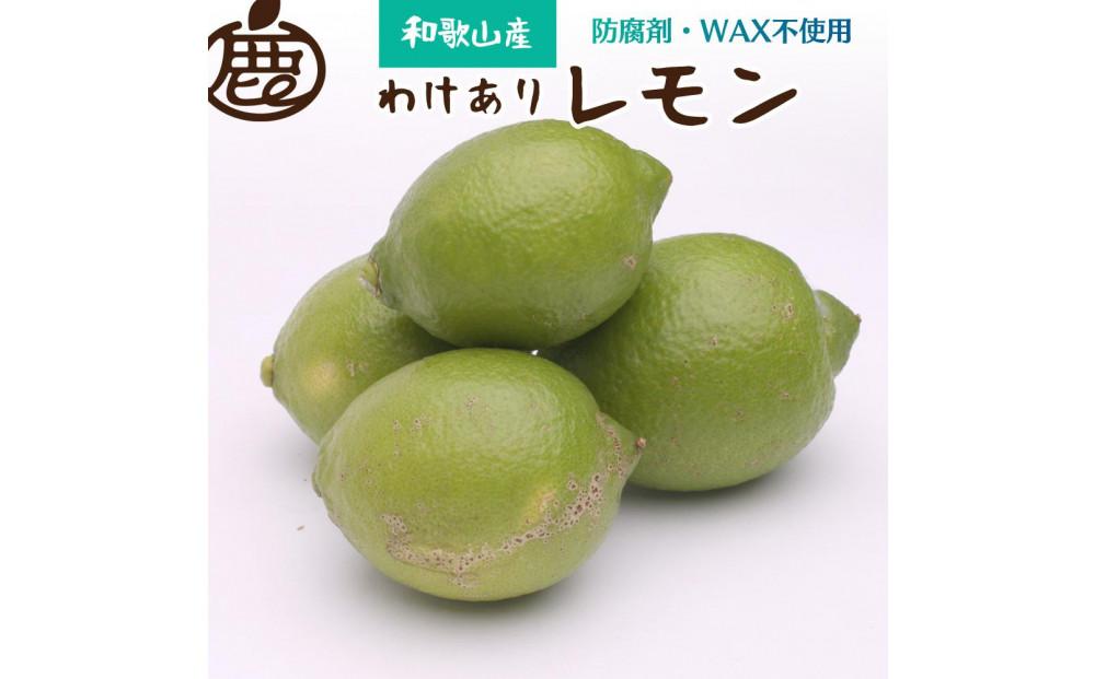家庭用 レモン1kg+250g（傷み補償分）【和歌山有田産】【防腐剤・WAX不使用、安心の国産レモン】【わけあり・訳ありレモン】［IKE125］ 303446_BB002