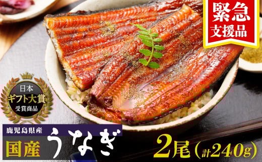 
            うなぎ 緊急支援品 鹿児島県産 長蒲焼 120g × 2尾 合計 240g  国産 うなぎ 鰻 ウナギ 蒲焼き 蒲焼 かばやき 魚 魚介 魚貝 海鮮 うな重 ひつまぶし 蒲焼 訳あり ギフト 人気 うなぎ おすすめ 鹿児島県 大崎町 大隅半島
          