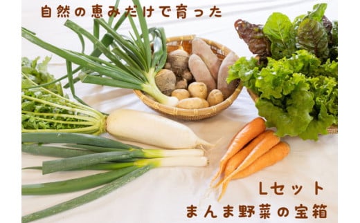 016-003　まんま野菜の宝箱セット L