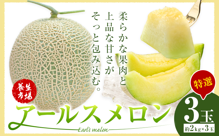 アールスメロン 約2kg×3玉 特選 (約6kg)【養生市場】メロン 果物 フルーツ マスクメロン 九州産 熊本県産 送料無料 《2026年10月中旬-11月中旬頃出荷予定》---003-1152--