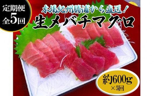 
【定期便全5回】生まぐろの本場紀州勝浦から直送！　生メバチマグロ 約600g（1カ月に1回お届け）（全5ヵ月）
