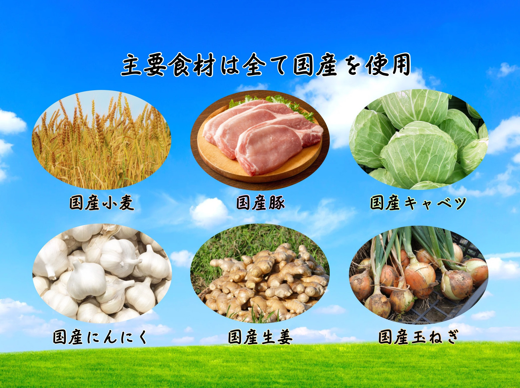 餃子 手包みにんにく餃子 Sパック 12個入り 餃子屋はまだ