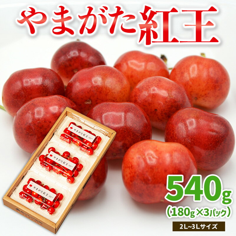 【ふるさと納税】やまがた紅王 約540g 2～3Lサイズ (180g×3パック) 【令和8年産先行予約】FS25-020