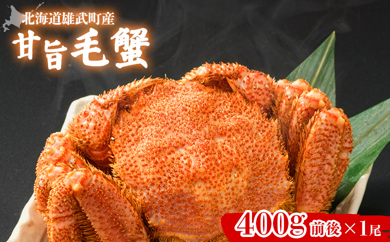 【北海道雄武町産】やわらか殻の甘旨毛蟹 400g前後×1尾 | 毛ガニ カニ かに 蟹 殻付き 浜茹で ジューシー 海産物 海鮮 冷凍 鮮度直送 柔らかい 食べやすい 蟹料理 ギフト おすすめ 贈答用 鮮魚 食材 海の幸 お取り寄せ 北海道 雄武町 雄武【07186】