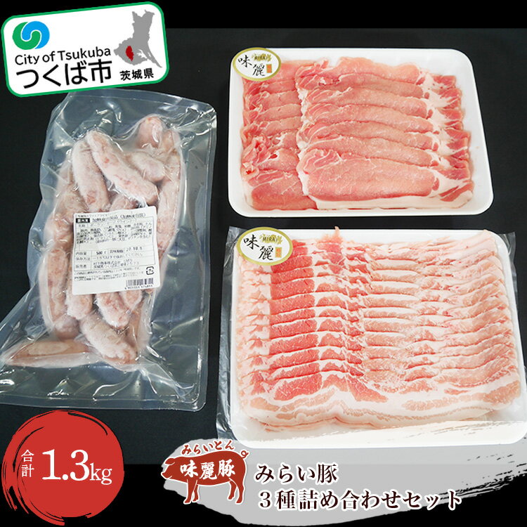 【ふるさと納税】みらい豚 ローススライス バラ薄切り ホワイト 粗挽き ウインナー 詰合せ セット | 茨城県 つくば市 豚肉 豚 ぶた肉 ロース スライス バラ ウインナー 詰合せ 豚肉セット ブランド豚 銘柄豚 ポーク 冷凍 1102662