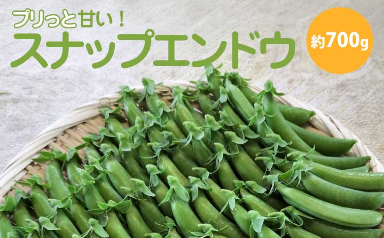 スナップエンドウ  プリッと甘い!約700g　【35P3206】