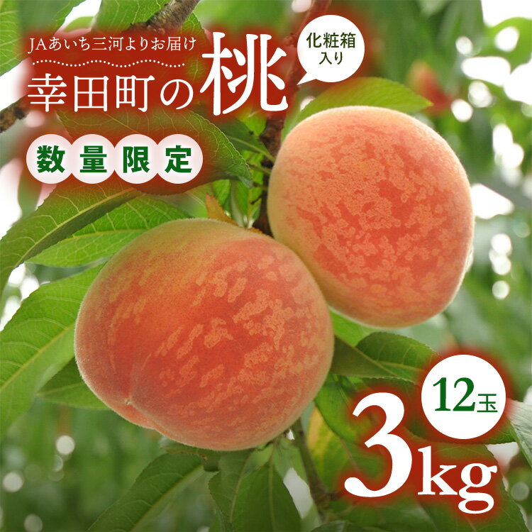 【ふるさと納税】 【先行予約】 《数量限定》 幸田町産 「桃」 3kg 化粧箱入り フルーツ 果物 モモ もも ギフト ※2026年6月下旬〜7月下旬頃に順次発送予定 ※着日指定不可 ※北海道・沖縄・離島への発送不可