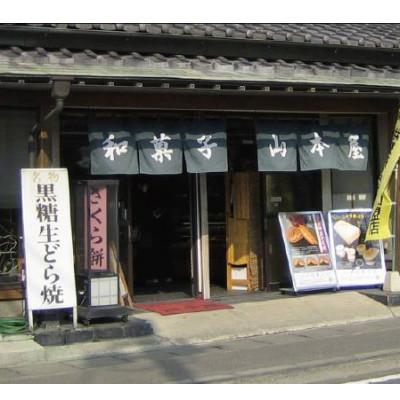ふるさと納税 小山市 【10個入り】小山市の名店山本屋黒糖生どら焼き　5種類×2個 |  | 03