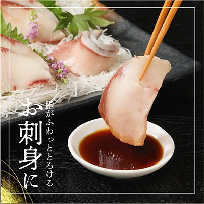 ふるさと納税 延岡市 【毎月定期便】大和ブリの切り身　約600g 全12回 |  | 02