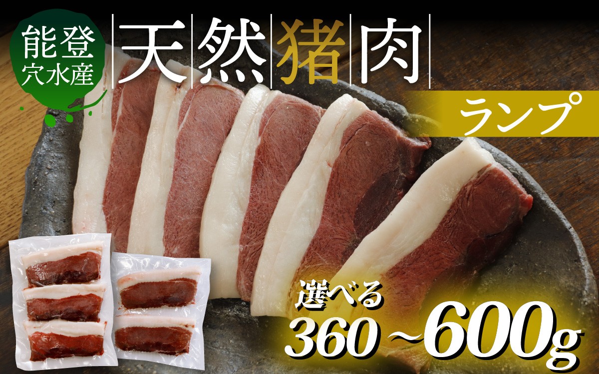 
            【選べる容量】奥能登 穴水産 天然猪肉 ランプ（120g×3枚～5枚／計360g～600g）/ 奥能登 能登半島 穴水町 お肉 にく 肉 ジビエ ランプ 猪 イノシシ いのしし 冷凍 天然 焼肉 焼き肉 ステーキ 
          