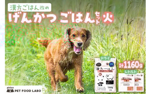 漢方ごはん改めげんかつごはん火（ドライ1000g＋レトルト2個）セット