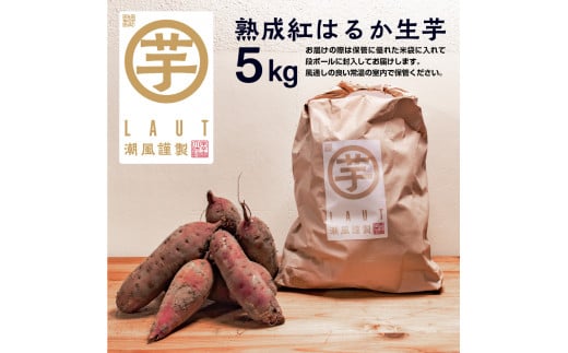 
干し芋屋のさつまいも 熟成 紅はるか 生芋 5kg 無添加 無着色 茨城県産 サツマイモ 土付き 芋 さつまいも さつま芋 薩摩芋 紅遥 べにはるか
