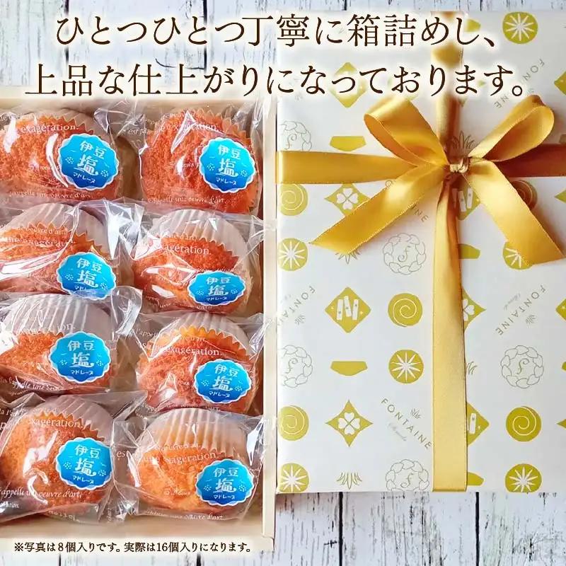 伊豆塩マドレーヌ 8個入り マドレーヌ