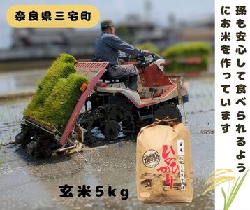 ひのひかり 玄米 5kg 奈良県 三宅町 ヒノヒカリ 堆肥 ミネラル栽培 志埜米穀店