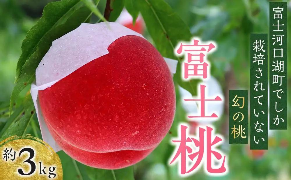 【2026年8月中旬より順次発送】オリジナルブランド 富士桃 約3キロ 河口湖で初の桃栽培！ 先行予約